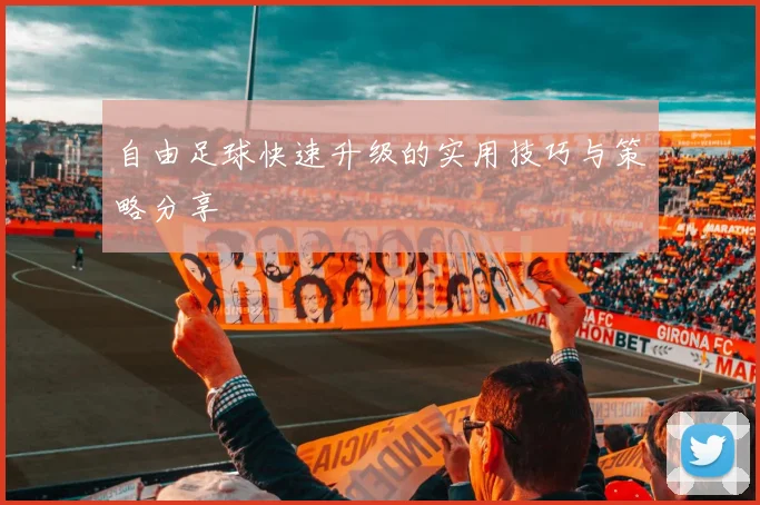 自由足球快速升级的实用技巧与策略分享