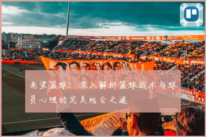 老梁篮球：深入解析篮球战术与球员心理的完美结合之道