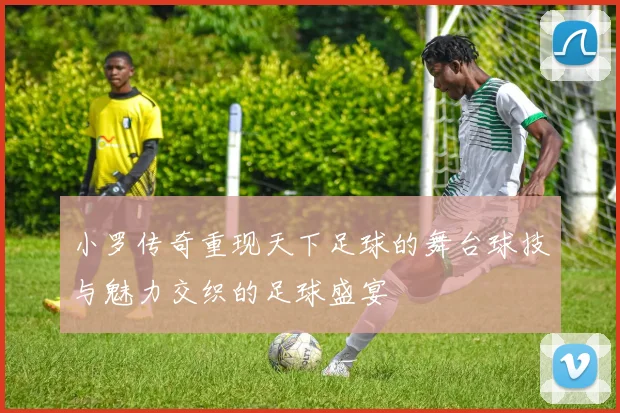 小罗传奇重现天下足球的舞台球技与魅力交织的足球盛宴